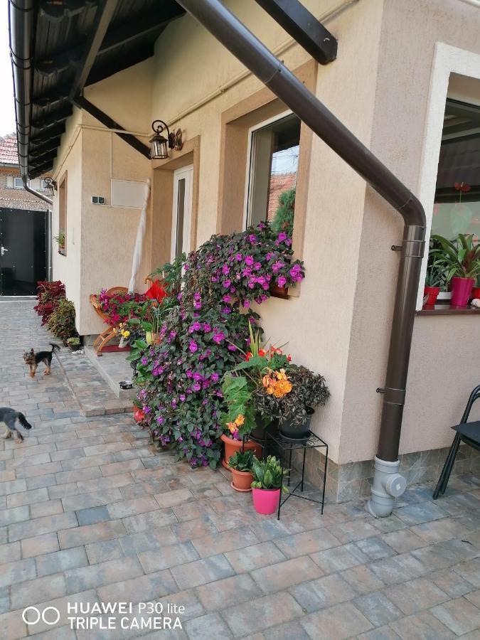 Отель Rasnov Retreat Экстерьер фото