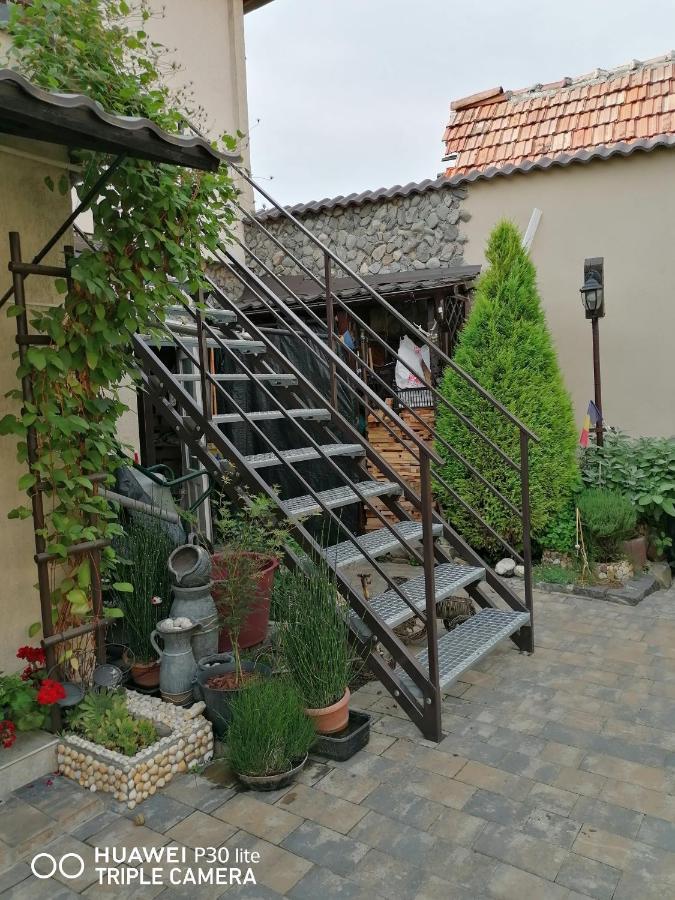 Отель Rasnov Retreat Экстерьер фото